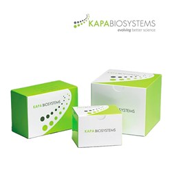 MERBK1006 (2)